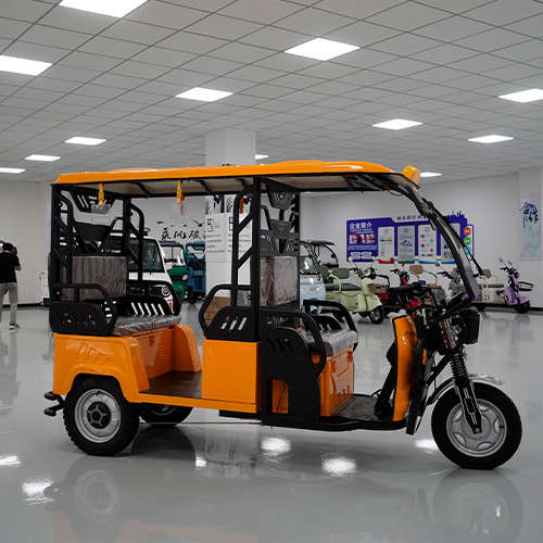 OX500C2 3-колесный электрический пассажирский велосипед